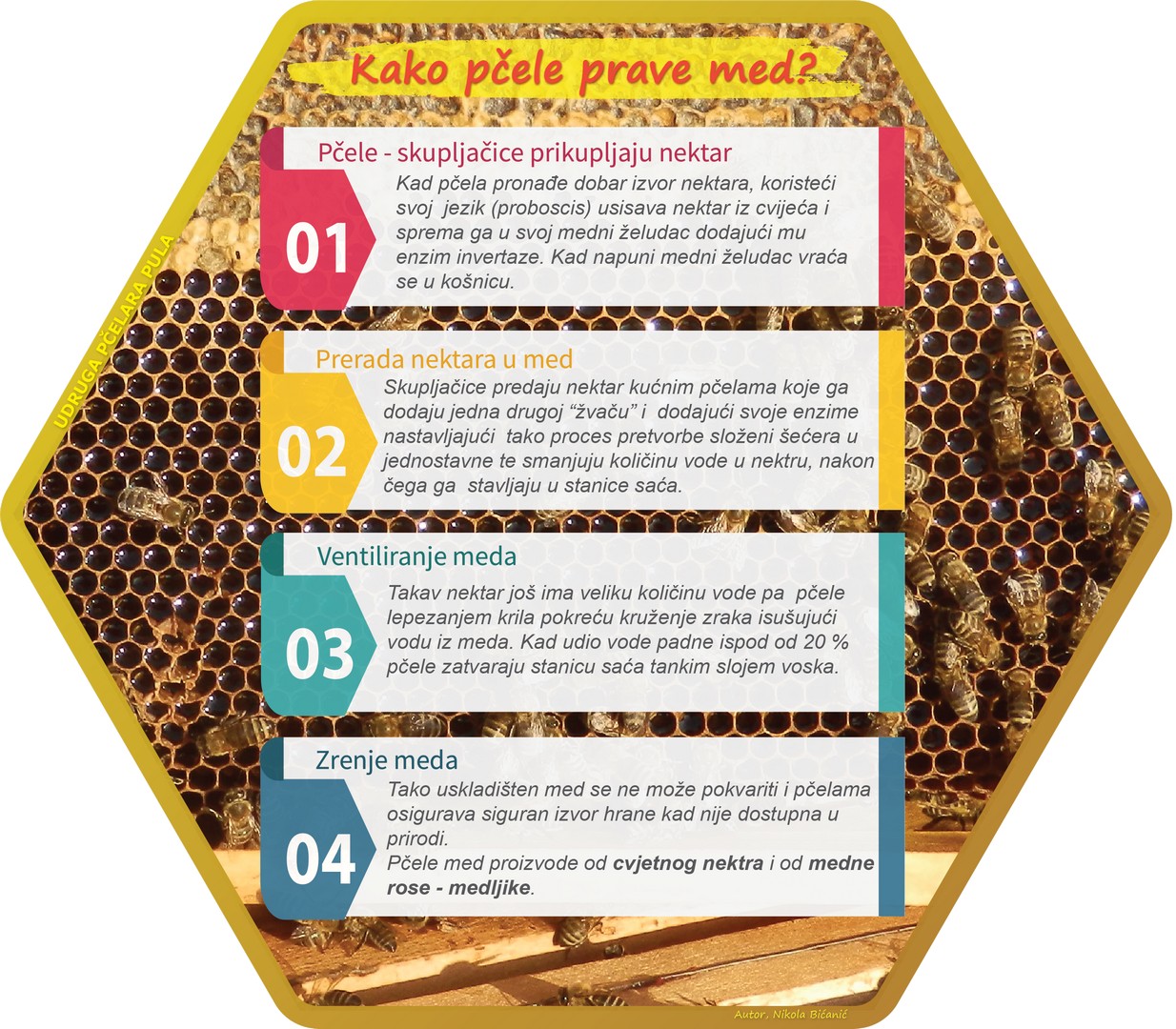 Kako pčele prave med?